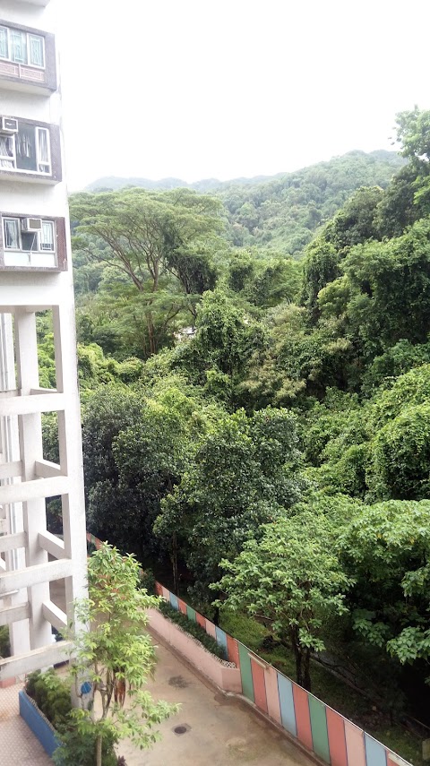 金獅花園 2期数