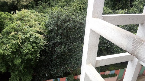 金獅花園 2期数