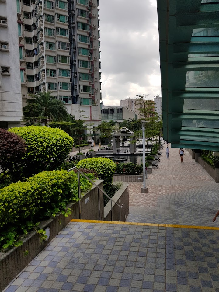 港灣豪庭 1期数