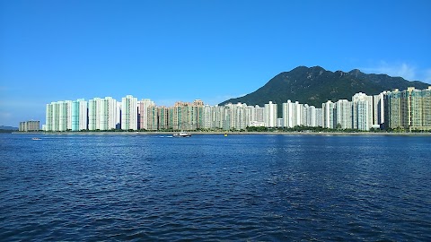 聽濤雅苑 1期数