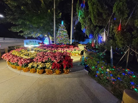 康樂園 第二十六街