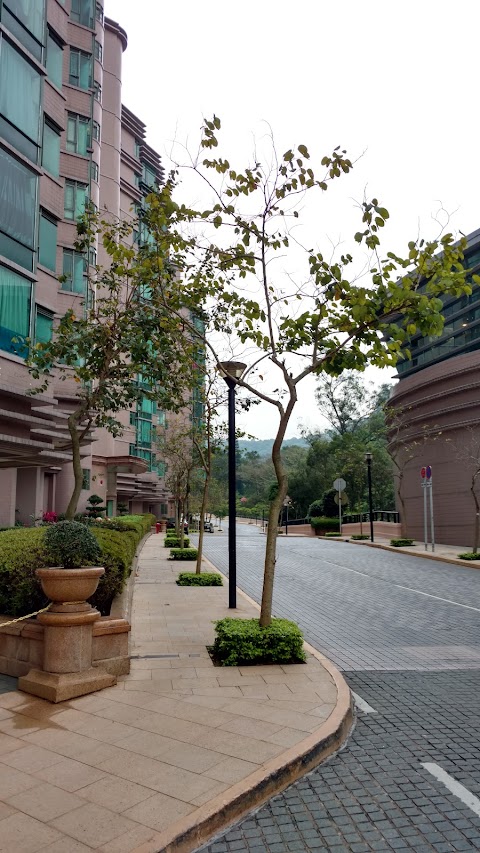 鹿茵山莊 鹿茵轩