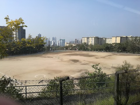 畢架山花園 4期数
