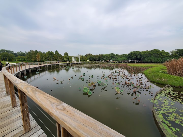 Wetland Seasons Park