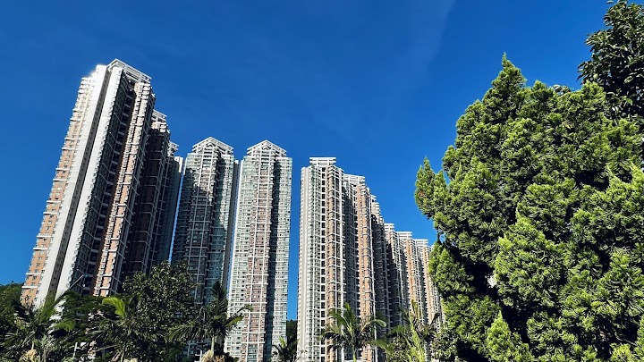 維景灣畔 1期数