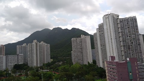 聽濤雅苑 1期数