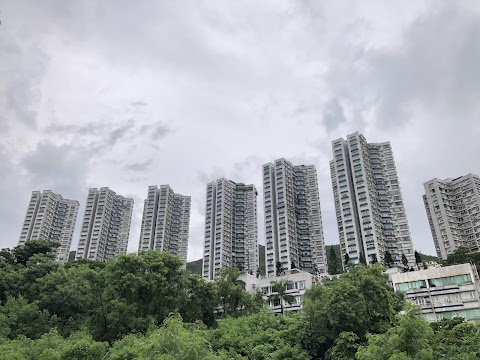 豪景花園 3期数