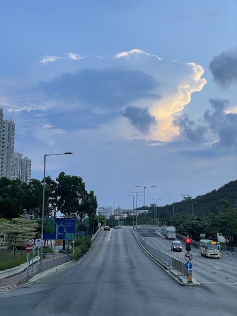 碧濤花園 2期数