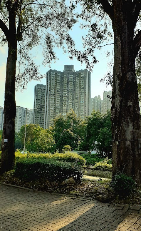 新峰花園 1期数