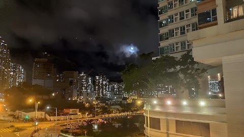 維景灣畔 2期数