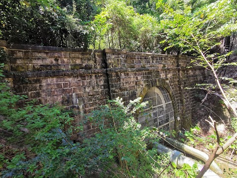 畢架山一號 1期数