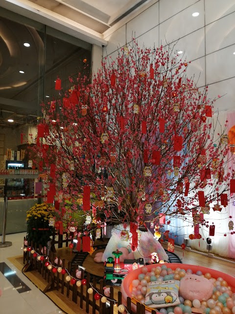 都會駅 2期数 城中駅