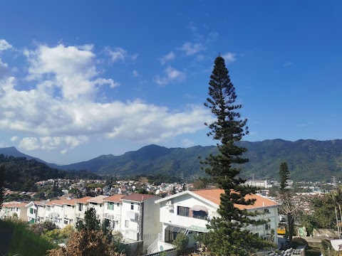 康樂園 第二十二街