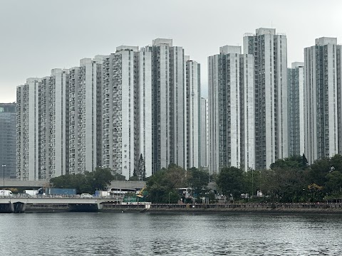 沙田第一城 2期数