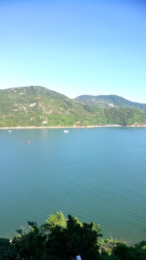 紅山半島 A区(4期)