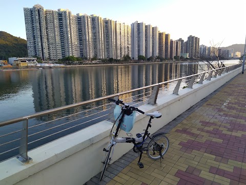 碧濤花園 2期数
