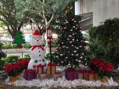翠怡花園 1期数