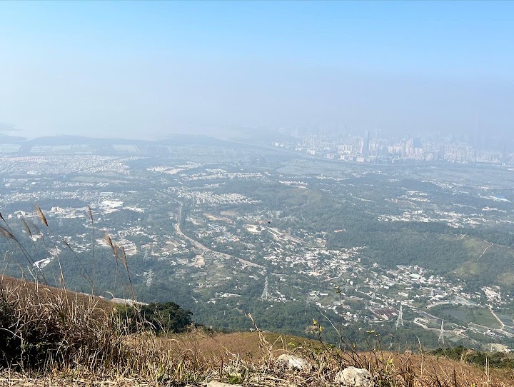 加州花園 1C期數 偉仕居 翠松路
