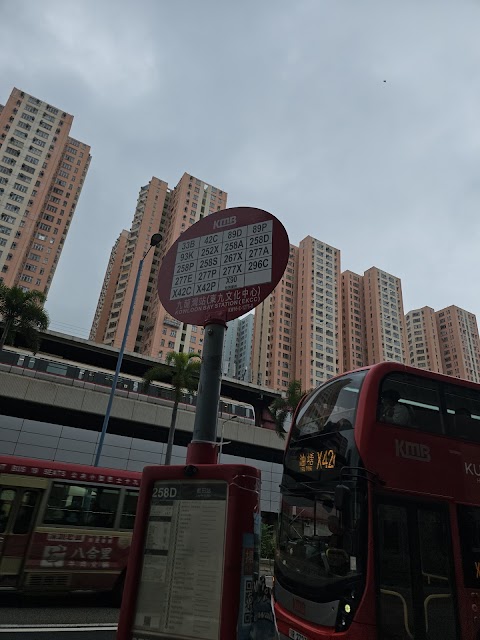 淘大花園 1期數