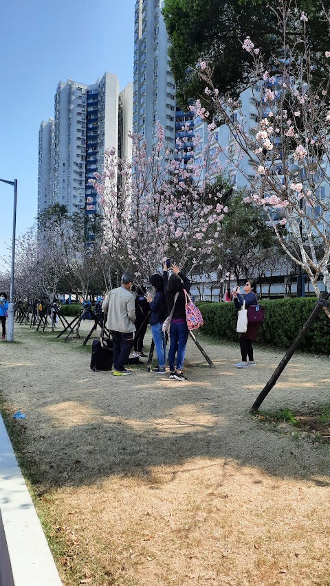 翠湖花園 2期數