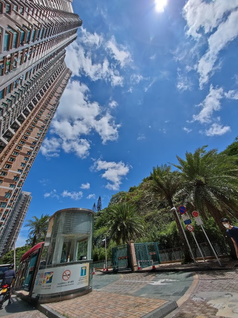 維景灣畔 3期數