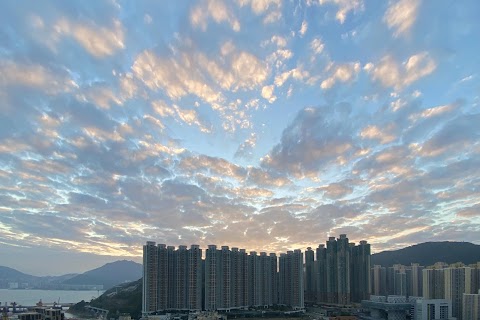 維景灣畔 3期數