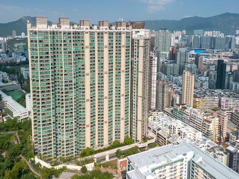 半山壹號 1期數