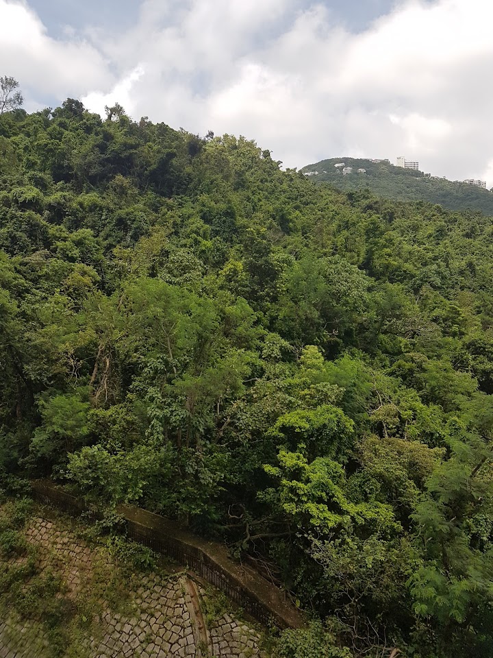 置富花園 置富花園
