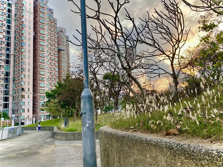 太湖花園 1期數