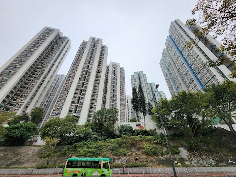 大興花園 第二期