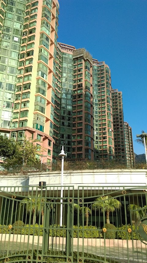 聽濤雅苑 1期數