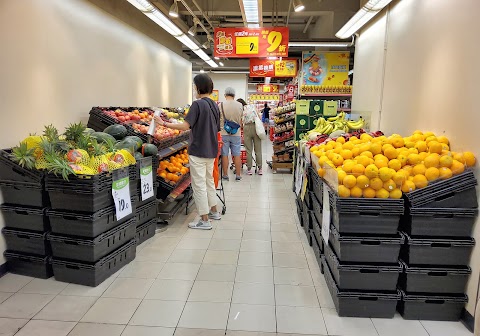 粉嶺中心 1期數