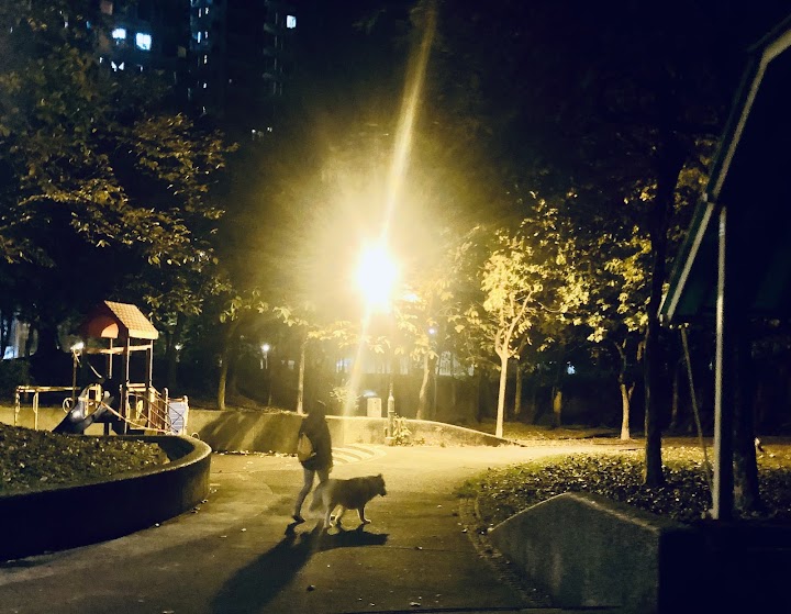 太湖花園 2期數