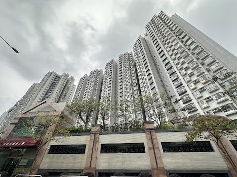 碧濤花園 2期數