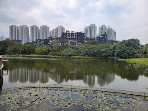 Wetland Seasons Park 1期數