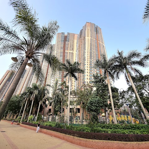 清水灣半島 2期數