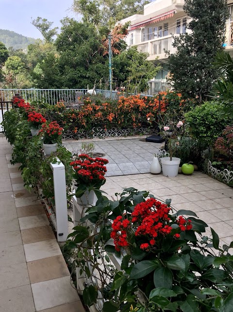 寶華花園 1期數