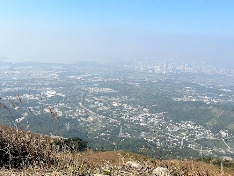 加州花園 1C期數 偉仕居 榕翠徑