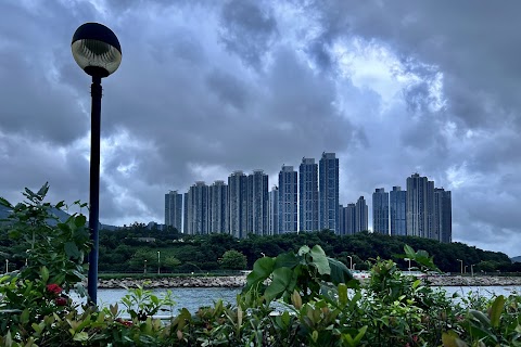 日出康城 2A期數 領都