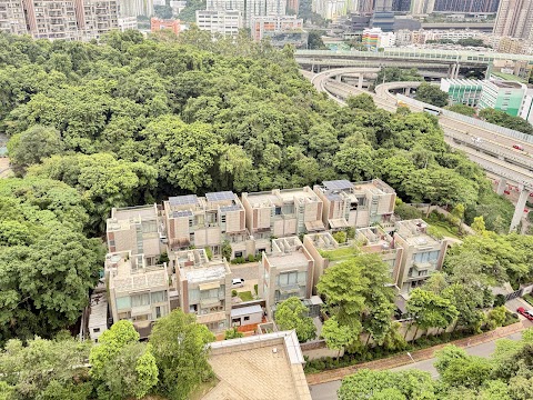 壹號雲頂 1期數