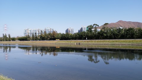 爾巒 廸維尼亞大道