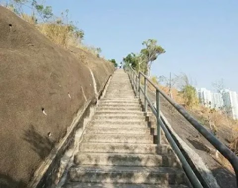 翠逸豪園 2期數