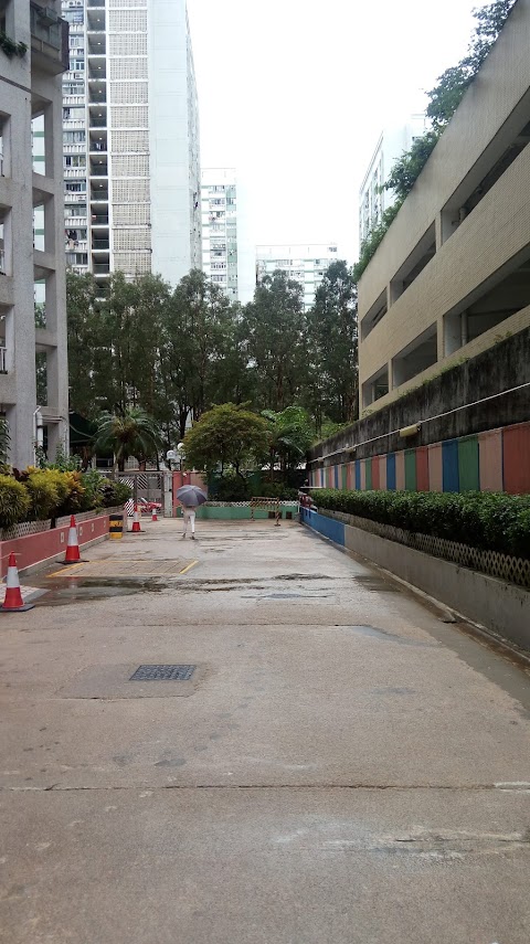 金獅花園 2期數