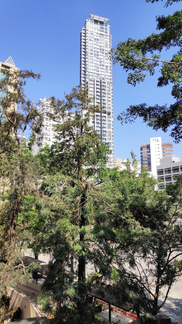 縉瑤2期 2期數 Phase 2