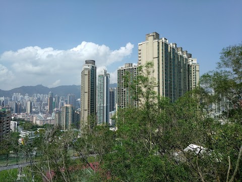 半山壹號 2期數