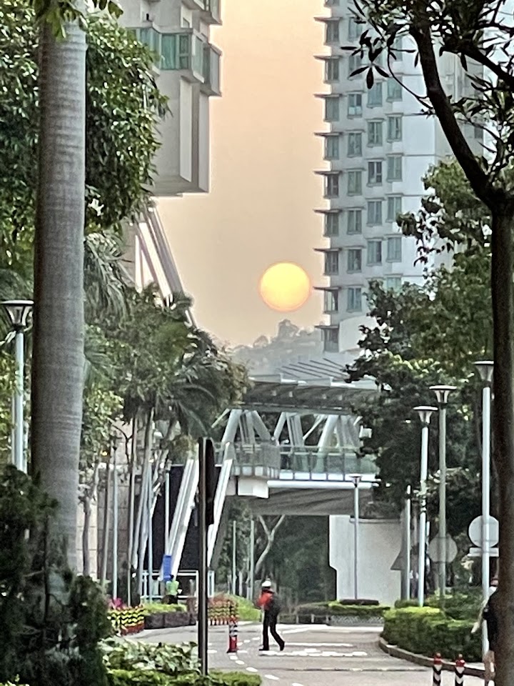 藍天海岸 1期數