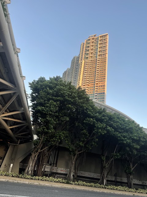 藍天海岸 4期數 水藍‧天岸