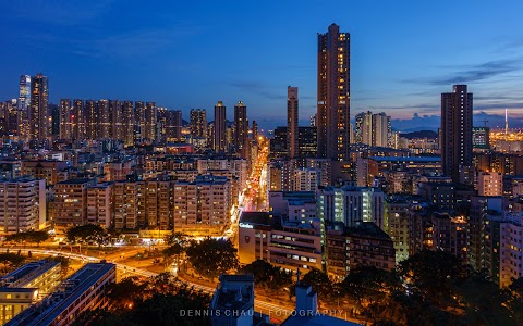 翠逸豪園 2期數