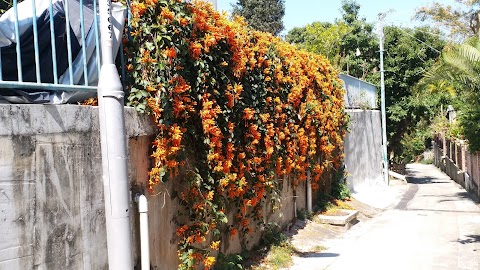寶華花園 1期數