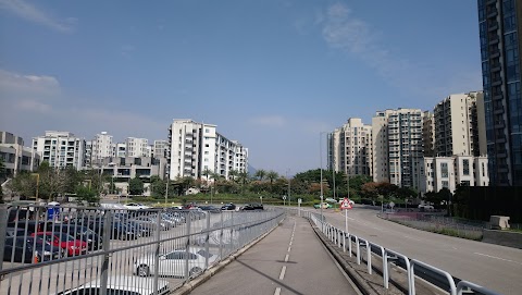 天賦海灣 1期數